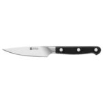 29318-1-zwilling-pro-spick-garnierme.jpg | 🔮 Gravur nach Wunsch 🌟