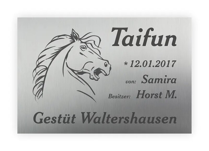 Bild von   hochwertiges schild fuer pferdjpg | 🌟 Gravur nach Wunsch 🪄