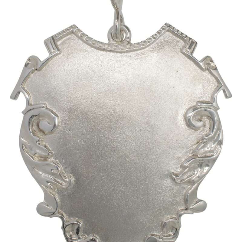 Bild von   echtsilber schuetzenschild mbjpg | 🌟 Gravur nach Wunsch 🪄