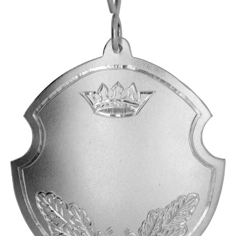 Bild von   echtsilber schuetzenschild mbjpg | 🌟 Gravur nach Wunsch 🪄