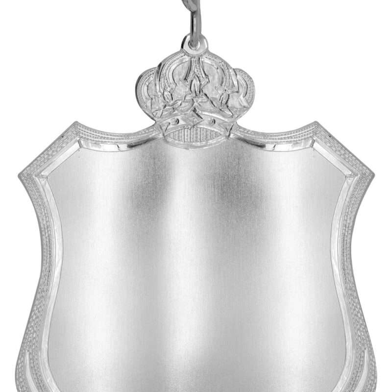 Bild von   echtsilber schuetzenschild mbjpg | 🌟 Gravur nach Wunsch 🪄