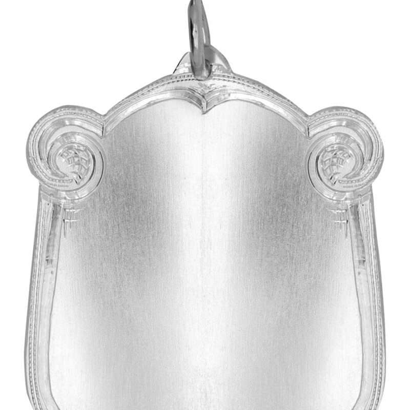 Bild von   echtsilber schuetzenschild mbjpg | 🌟 Gravur nach Wunsch 🪄