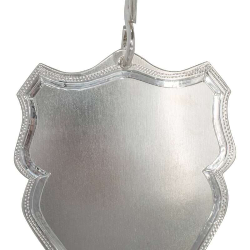 Bild von   echtsilber schuetzenschild mbjpg | 🌟 Gravur nach Wunsch 🪄