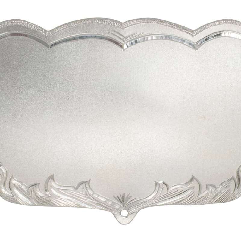 Bild von   echtsilber brustschild mbjpg | 🌟 Gravur nach Wunsch 🪄