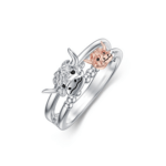 Bild von   zweifarbiger ring aus sterlingpng | 🌟 Gravur nach Wunsch 🪄