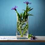 Bild von   vase aus glas mit gravur fuerjpg | 🌟 Gravur nach Wunsch 🪄
