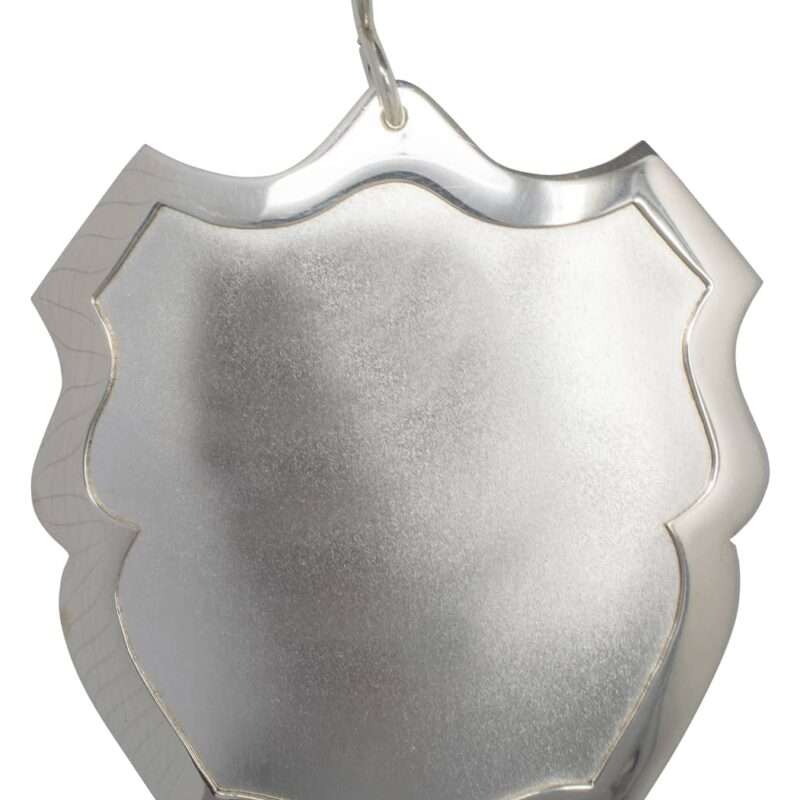 Bild von   echtsilber schuetzenschild mbjpg | 🌟 Gravur nach Wunsch 🪄